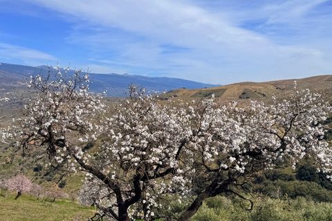 Finca i Lobras, Granada, Lobras - € 695.000 | Ref: GVCFCDM - foto 11